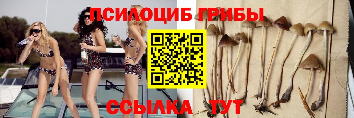 Псилоцибиновые грибы прущие грибы  Псилоцибиновые грибы Psilocybe  Вход с VPN  Тосно 