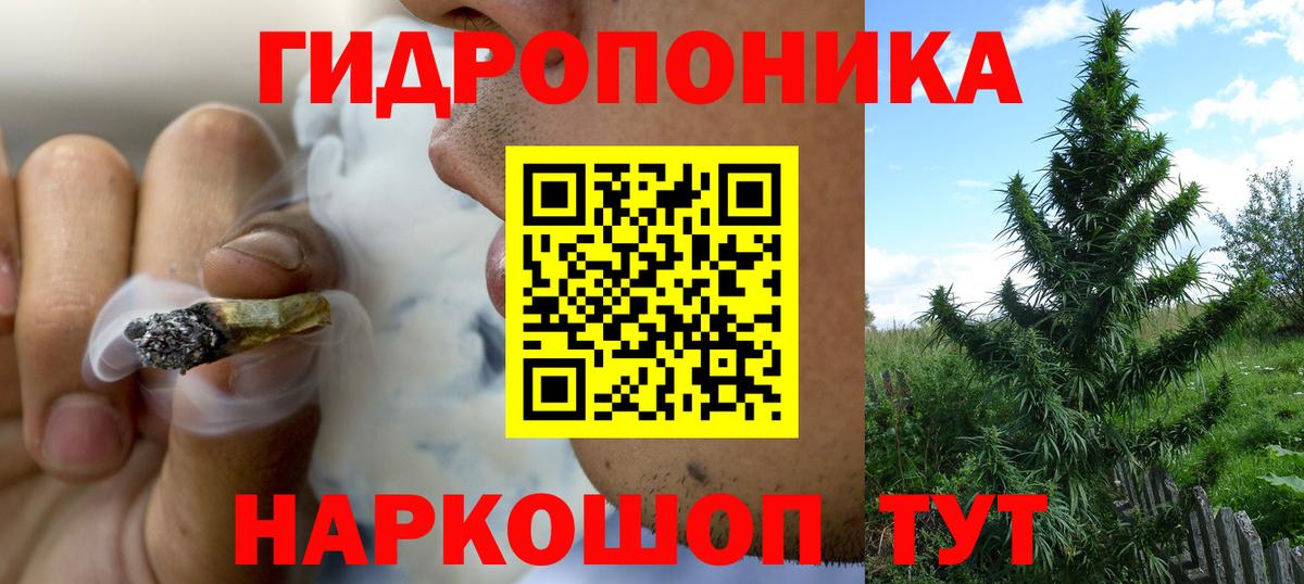 Каннабис OG Kush  Каннабис SATIVA & INDICA  Марихуана ГИДРОПОН  Вход с VPN  Тосно 